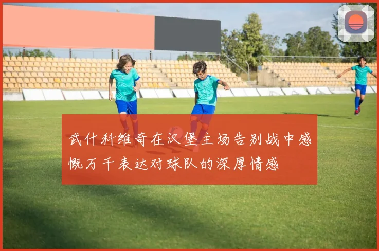 武什科维奇在汉堡主场告别战中感慨万千表达对球队的深厚情感